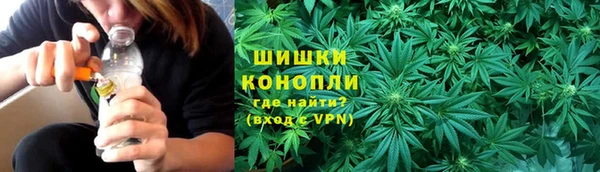 дурь Бронницы