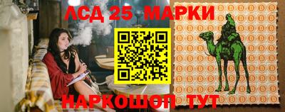 прущие грибы Беслан