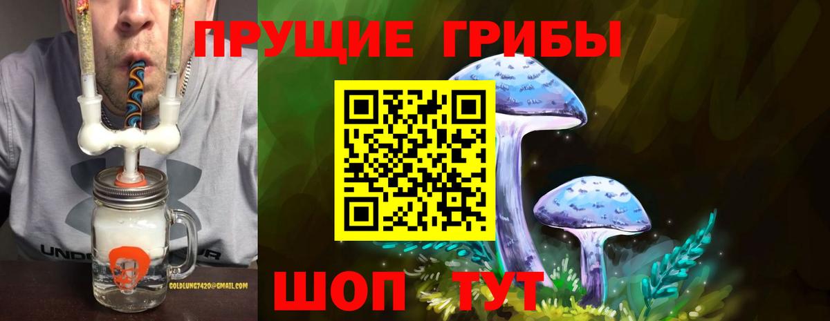 купить  цена  Галлюциногенные грибы Cubensis  Вход с VPN  Видное 